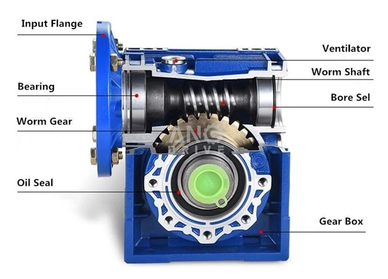 worm gearbox structure worm gearbox structure