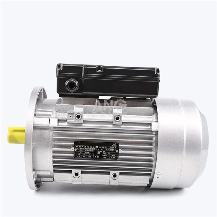 5HP Electric Motor