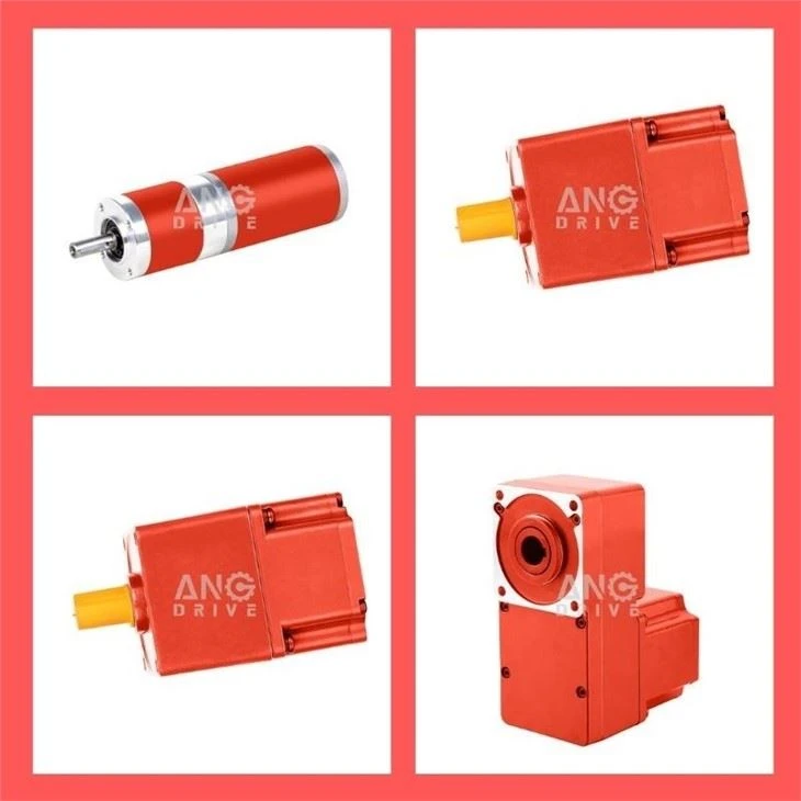 dc worm gear motor