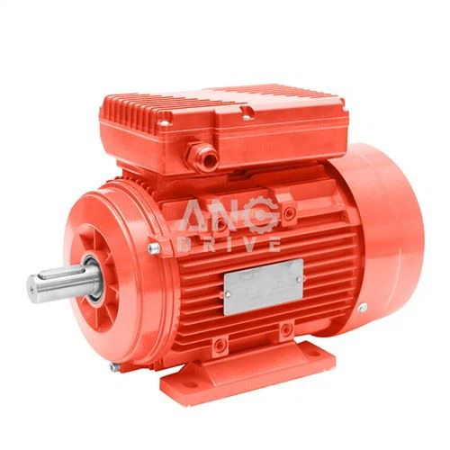 Electric Motor