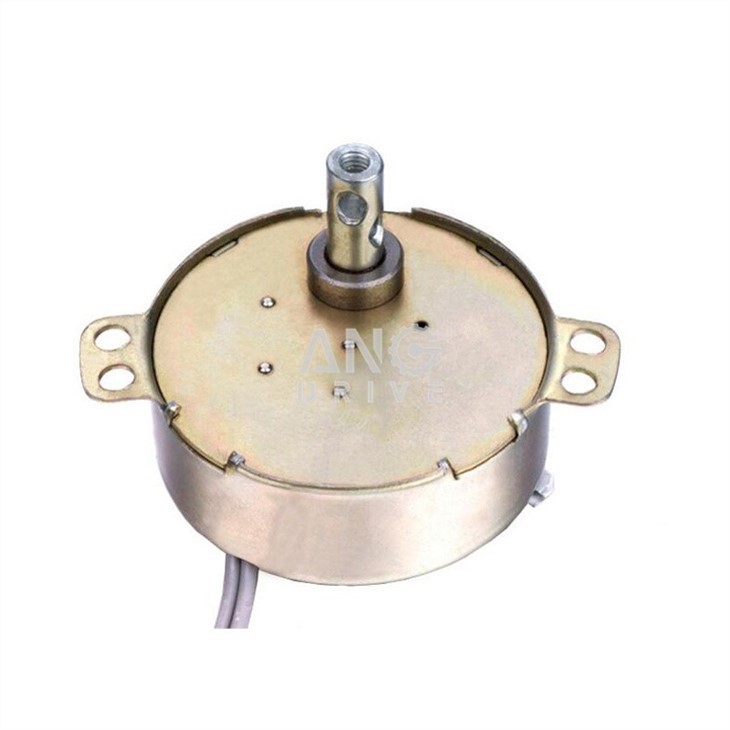 Permanent magnet Motor