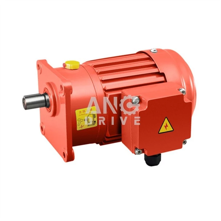 0.75KW Geared Motor