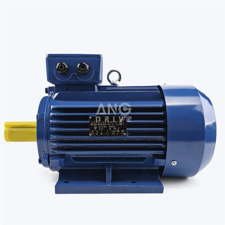37KW Electric Motor