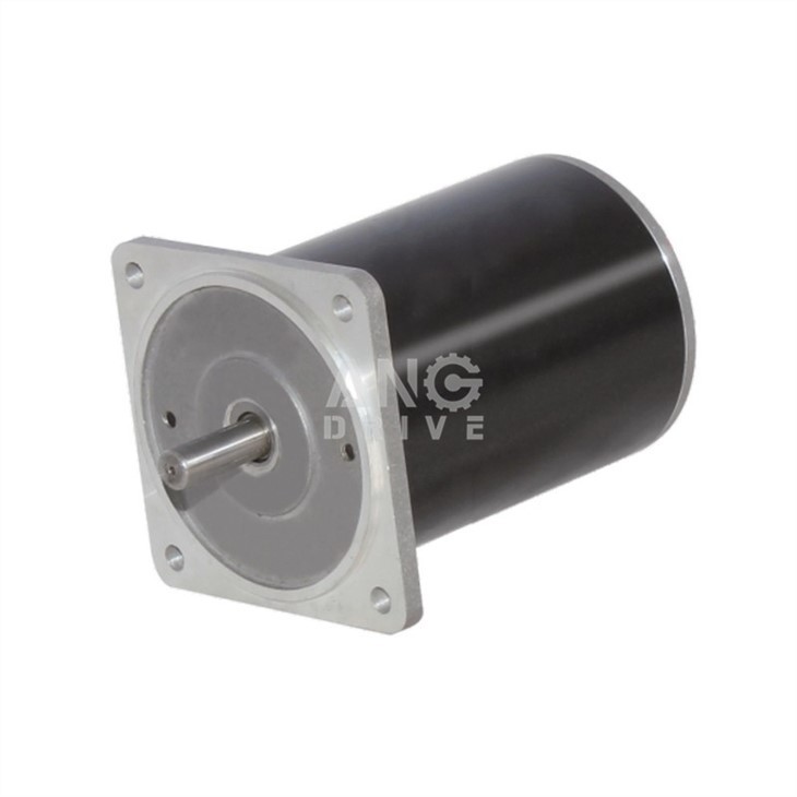 dc electric motor
