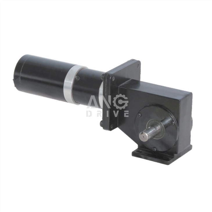 brushless low rpm motor