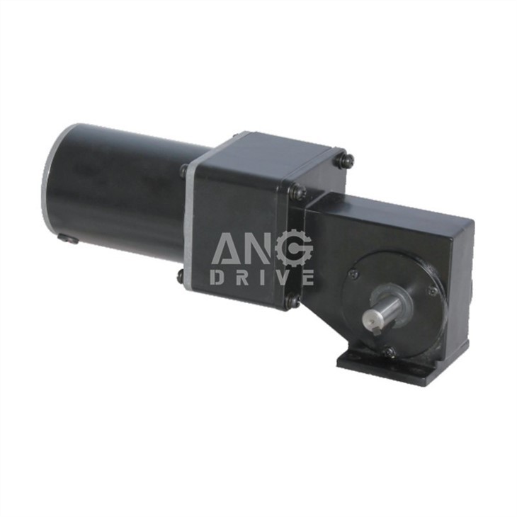 dc worm geared motor
