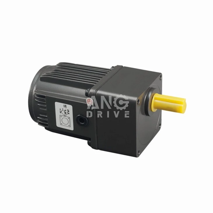 AC Induction Gearmotor