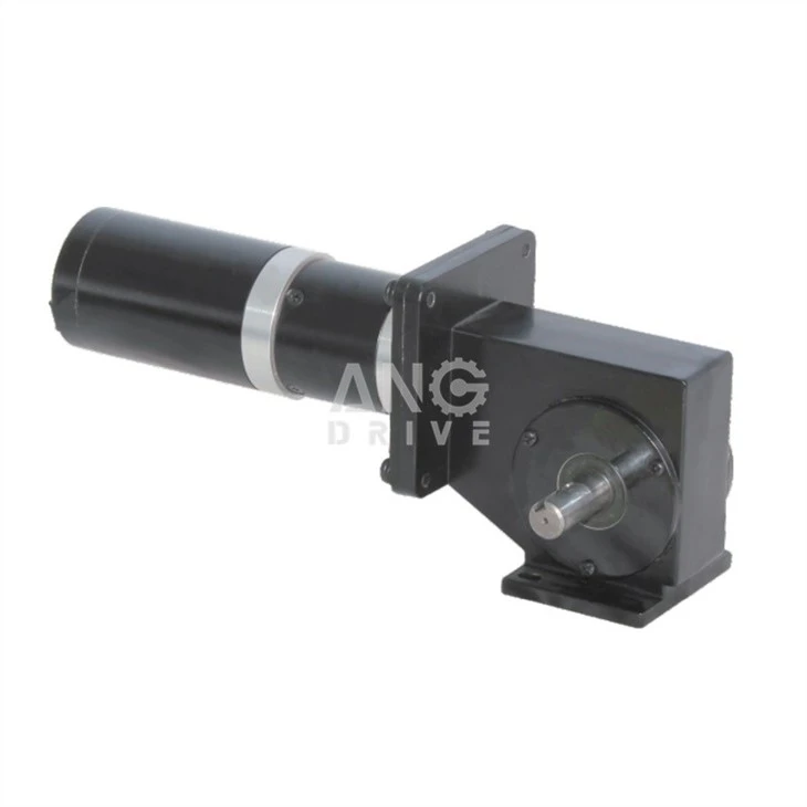 low rpm worm gear motor