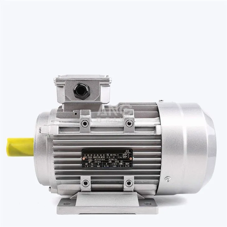 IE2 Electric Motor