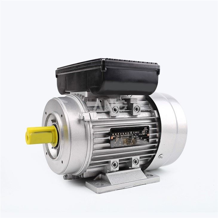 Electronic Motors