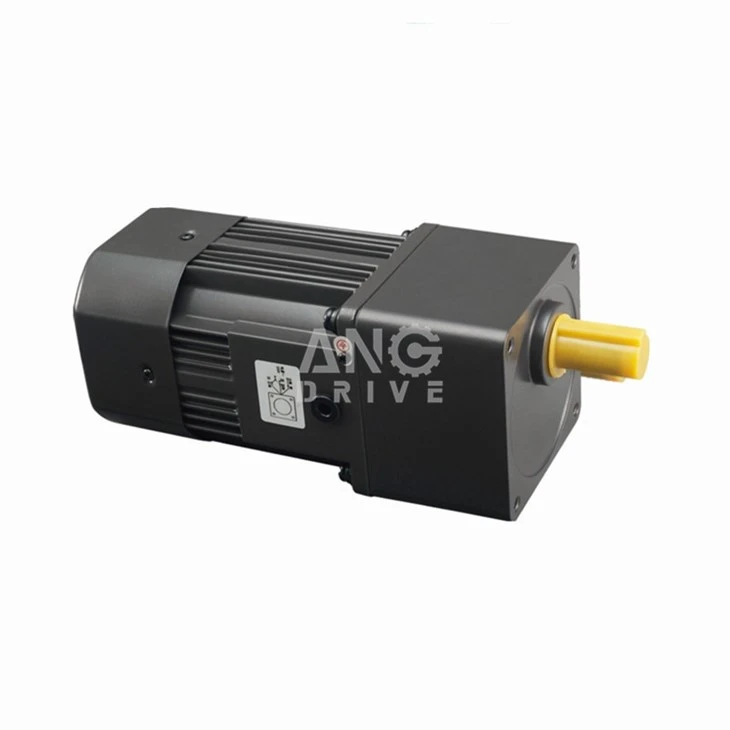 Micro AC Gear Motor