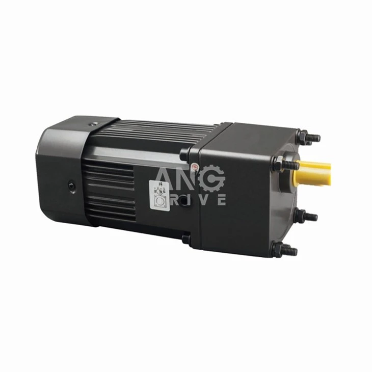 Micro AC Gear Motor