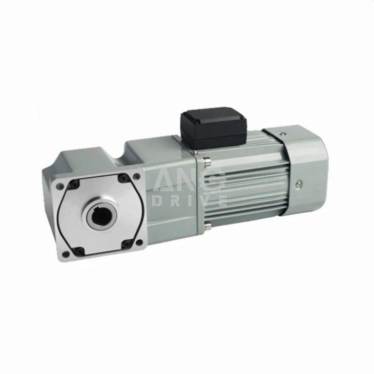 Micro AC Gear Unit