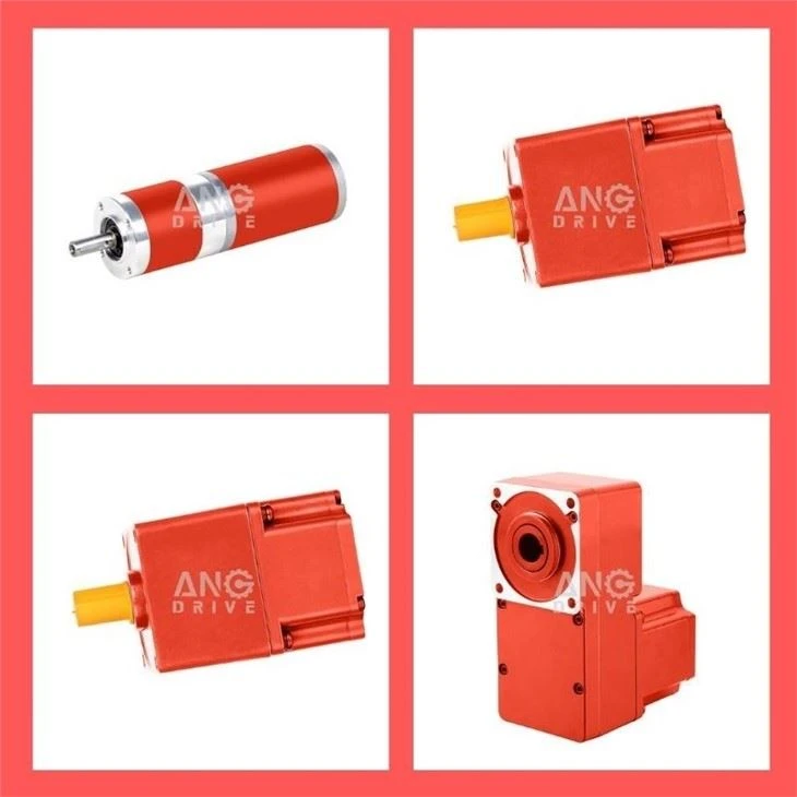 Micro BLDC Brushless Motor