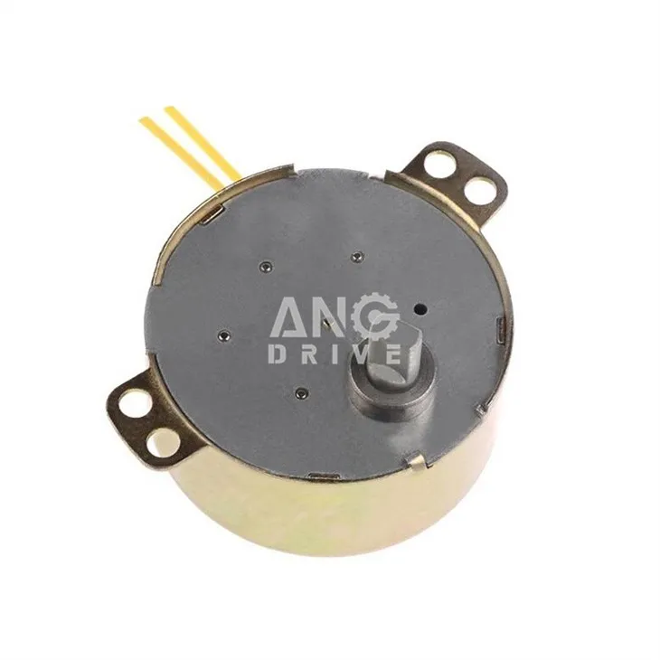 Permanent magnet electric motor