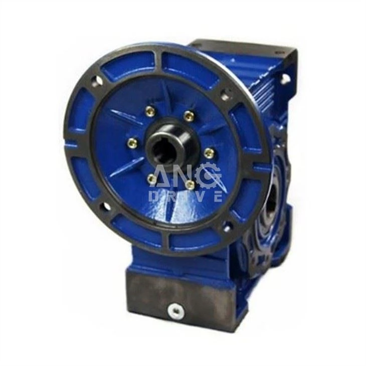 NMRV110 Reducer