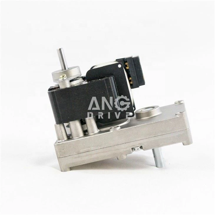 Shaded Pole AC Motor