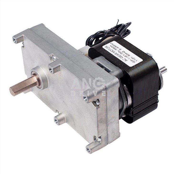 Shaded Pole AC Motor