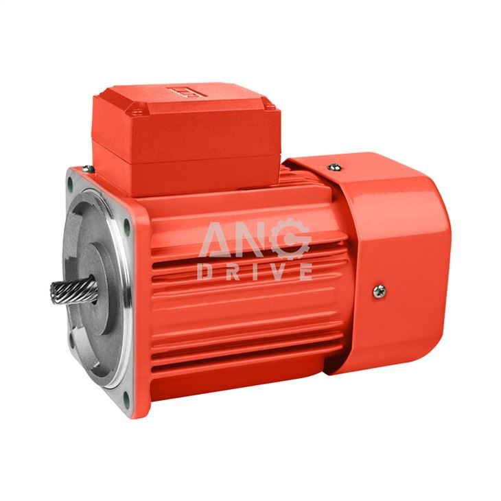 Small AC Electric Motor