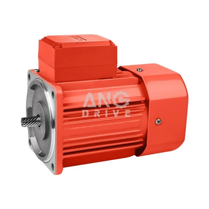 Small Induction Motor