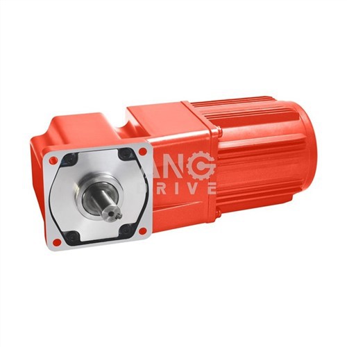 160w Gear Motor