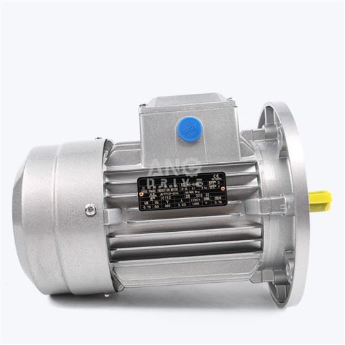 3HP Electric Motor