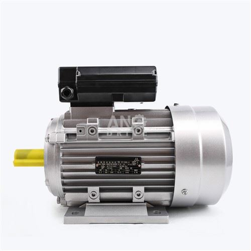 IEC Electric Motor
