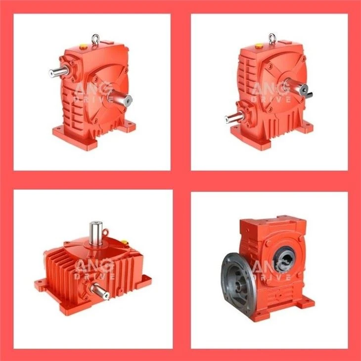wp worm gear box