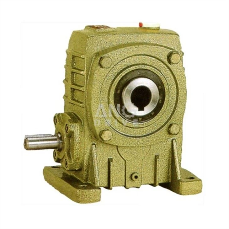 WPKA worm reducer