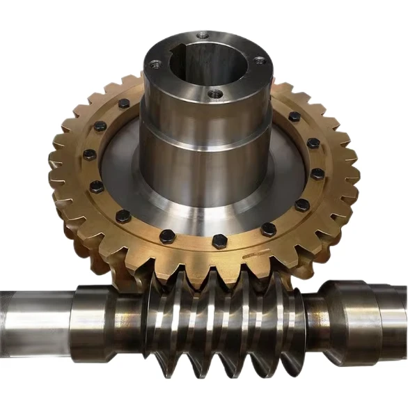 Hourglass Worm Gear
